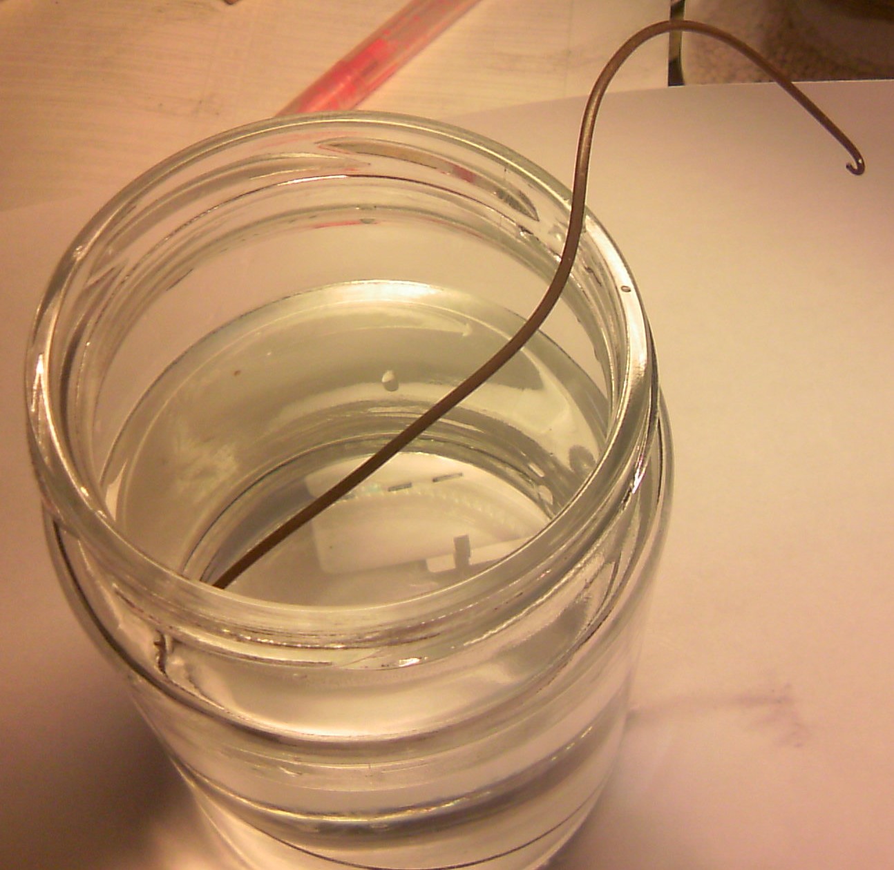 ハリガネムシ捕まえた