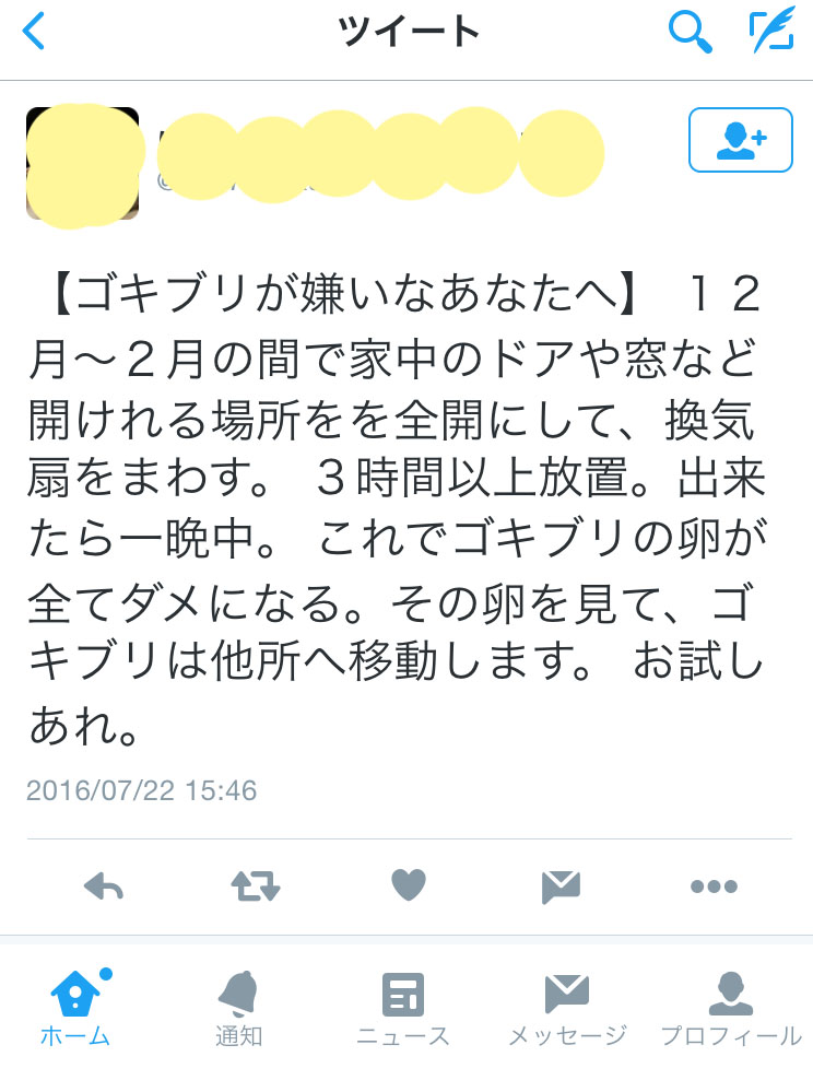 ゴキブリのガセネタ